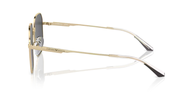 Emporio Armani 0EA 2154D 3013/87 57