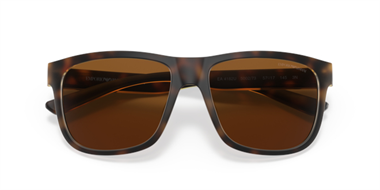 Emporio Armani 0EA 4182U 5002/73 57