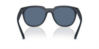 Emporio Armani 0EA 4205 5088/80 55