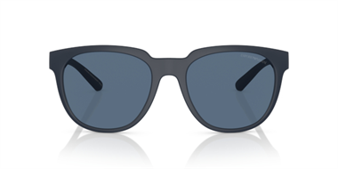 Emporio Armani 0EA 4205 5088/80 55