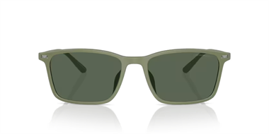 Emporio Armani 0EA 4223U 542471 56