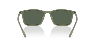 Emporio Armani 0EA 4223U 542471 56