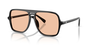 Emporio Armani 0EA 4252U 5017/93 57