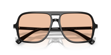 Emporio Armani 0EA 4252U 5017/93 57