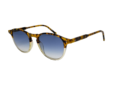 Hally and Son HS 727 V03 48