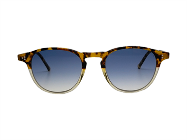 Hally and Son HS 727 V03 48