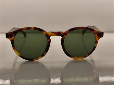 Hally and Son HS 731 V02 48 Unisex Güneş Gözlüğü