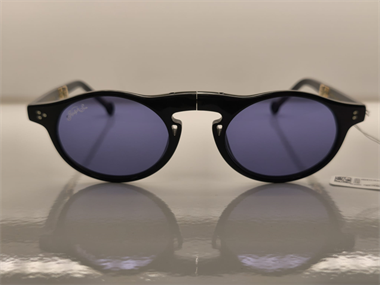 Hally and Son HS 819 S03 48 Unisex Güneş Gözlüğü