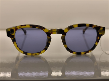 Hally and Son HS 820 S05 48 Unisex Güneş Gözlüğü