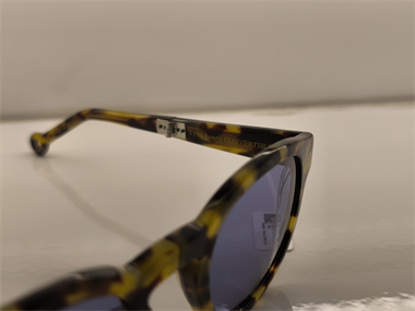 Hally and Son HS 820 S05 48 Unisex Güneş Gözlüğü
