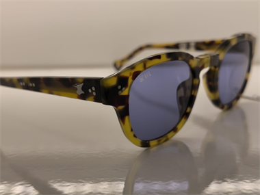 Hally and Son HS 820 S05 48 Unisex Güneş Gözlüğü