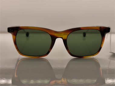 Hally and Son HS 829 V02 51 Unisex Güneş Gözlüğü
