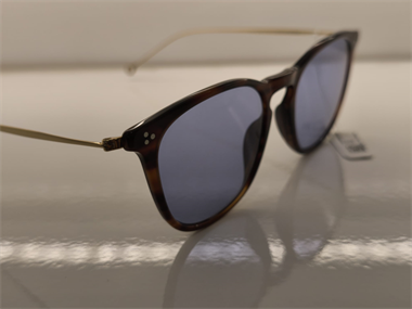 Hally and Son HS 831 V02 51 Unisex Güneş Gözlüğü
