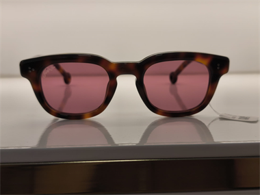 Hally and Son HS 877 V02 48 Unisex Güneş Gözlüğü