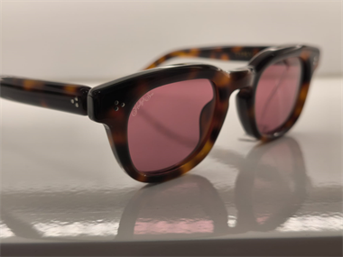 Hally and Son HS 877 V02 48 Unisex Güneş Gözlüğü