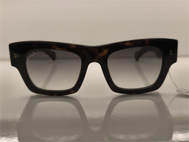 Hally and Son HS 884 V03 50 Unisex Güneş Gözlüğü