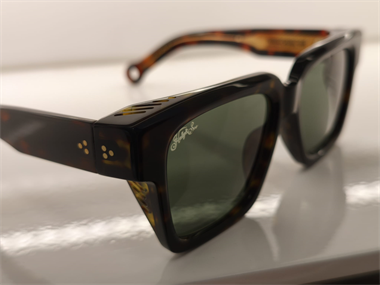 Hally and Son HS 923 S02 54 Unisex Güneş Gözlüğü