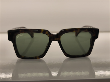 Hally and Son HS 923 S02 54 Unisex Güneş Gözlüğü
