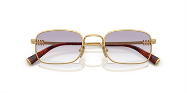 Miu Miu 0MU A53 5AK-04O 49