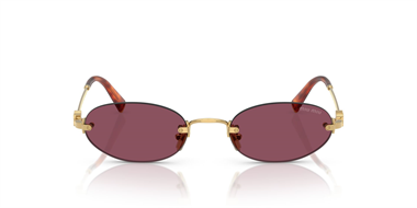 Miu Miu 0MU A54 5AK-20Y 51 Women Sunglasses