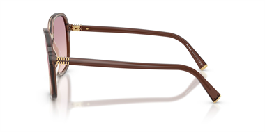 Miu Miu 0MU B01S 25G-40S 58 Women Sunglasses