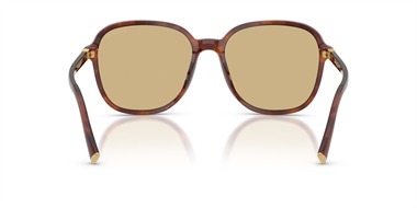 Miu Miu 0MU B01S 26E-10R 58 Women Sunglasses