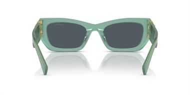 Miu Miu 0MU09W 19L-09T 53