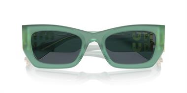 Miu Miu 0MU09W 19L-09T 53