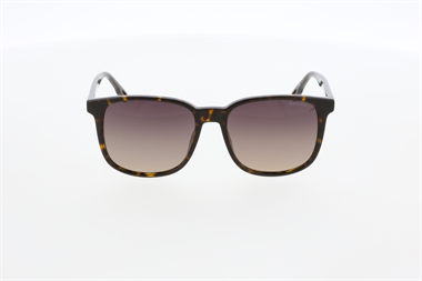 Mustang MU 2466 C2 55