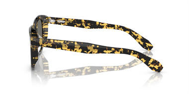 Oliver Peoples 0OV 5547SU N05 Sun 1778R5 48