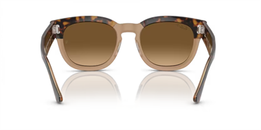 Ray-Ban 0RB 0298-S 1292/M2 53
