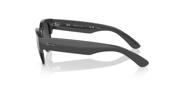 Ray-Ban 0RB 0316-S 1367/48 53