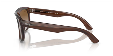 Ray-Ban 0RB 0501S 6709/CB 56