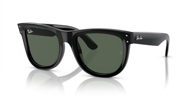 Ray-Ban 0RB 0502S 6677/VR 50