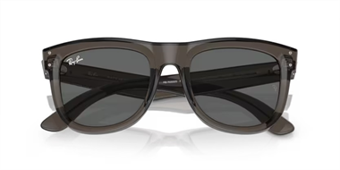 Ray-Ban 0RB 0502S 6707/GR 50