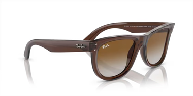 Ray-Ban 0RB 0502S 6709/CB 50