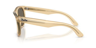 Ray-Ban 0RB 0502S 6821/5A 50