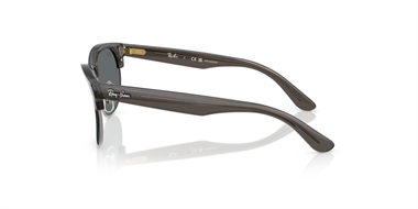 Ray-Ban 0RB 0504S 6707/81 54