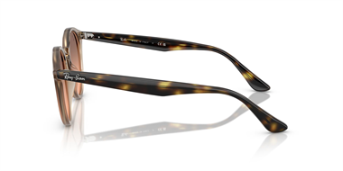 Ray-Ban 0RB 2180 6788/46 49