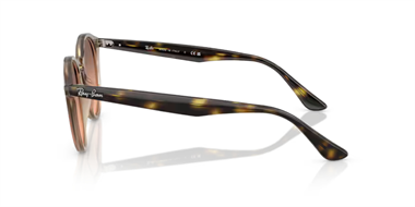 Ray-Ban 0RB 2180 6788/46 51