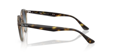 Ray-Ban 0RB 2180 6788/V1 51