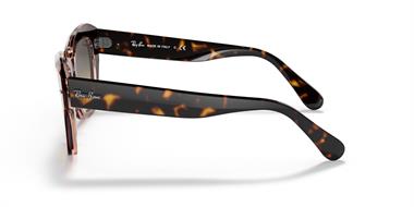 Ray-Ban 0RB 2186 1324/BG 49