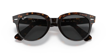 Ray-Ban 0RB 2199 902/B1 52