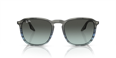 Ray-Ban 0RB 2203 1391/GK 55