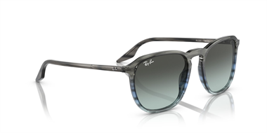 Ray-Ban 0RB 2203 1391/GK 55