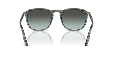 Ray-Ban 0RB 2203 1391/GK 55
