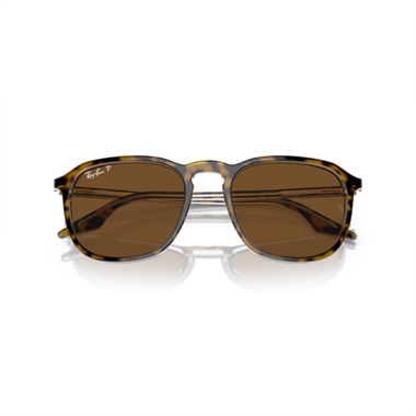 Ray-Ban 0RB 2203 1393/57 55