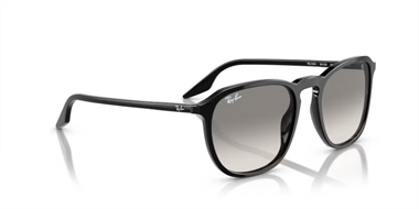 Ray-Ban 0RB 2203 901/32 55