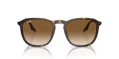 Ray-Ban 0RB 2203 902/51 55