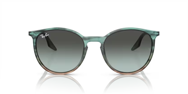 Ray-Ban 0RB 2204 Yuvarlak 1394GK 54